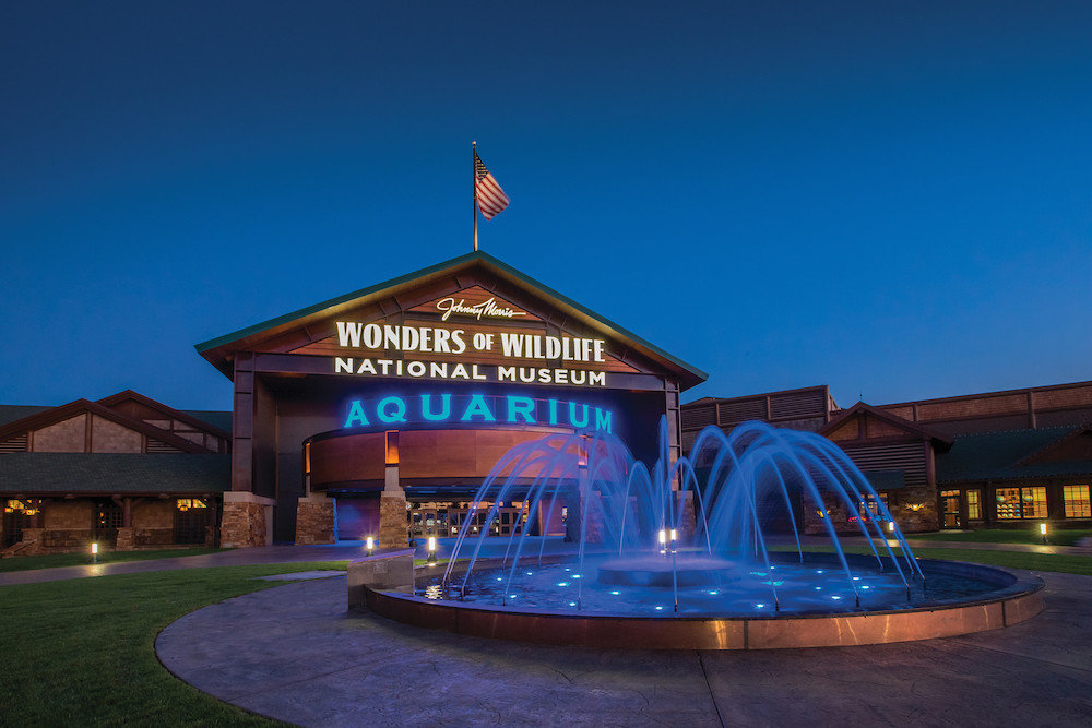 Wonders of Wildlife National Museum & Aquarium is selected for the CVB’s Hospitality Award.